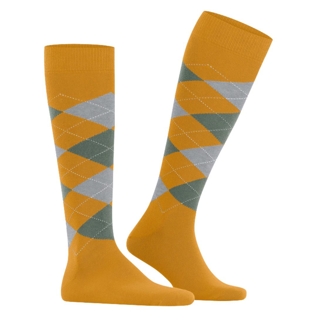 Calzini Uomo Burlington gambaletto King in cotone